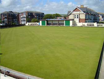 Astroturf Artificial Grass Image