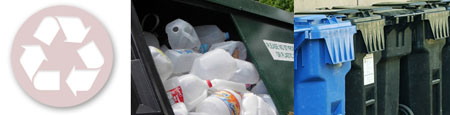 City Skips Image