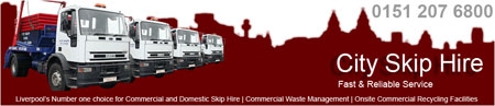 City Skips Image