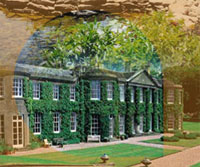 E K O Ltd Image