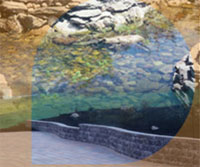 E K O Ltd Image