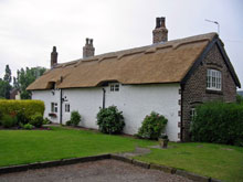 Eurothatch Image