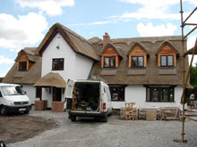 Eurothatch Image