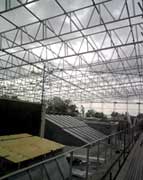 RBC Scaffolding Image