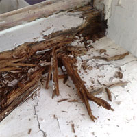 Wood Windows Restoration Image