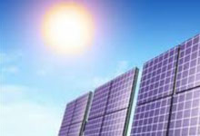 Greenguru-NE Image
