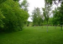 Greenguru-NE Image