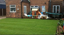 Dale Lawn Turf Image