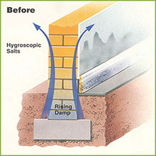 Dampshield South Wales Ltd Image