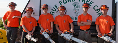 Dave Ford Tree Care Image