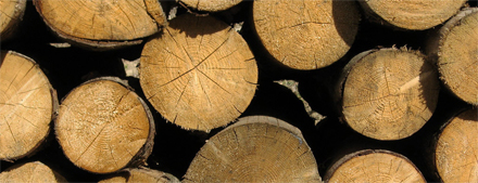 Cheshire Timber and Treatment Image