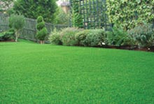 TigerTurf (UK) Ltd Image