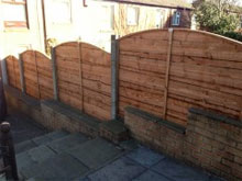 Mallard Fencing Image