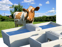 Page Concrete & Steel Ltd Image