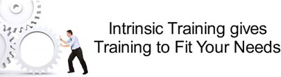 Intrinsic Training Solutions Image
