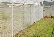 DWJ Fencing Contractors Image