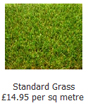 Grass UK Image