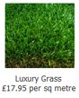 Grass UK Image