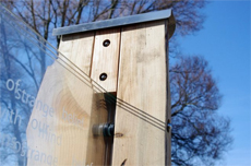 Mark Collcutt Design Image