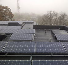 Eco SW Image