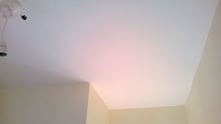 ShaunPaul Plastering & Decorating Services Image